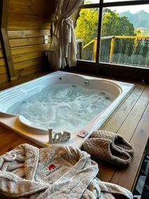 Swiss Refuge Chalet in Vargem Alta - Image 4