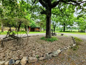 Chris's Cozy Cabin - Image 2