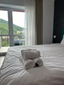 Walter Studio Sinaia with Balcony and Private Parking - Image 3