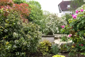 Clair logis, Giverny - Image 2