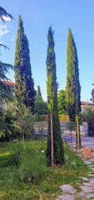 Appartamento I Cipressi - Image 4