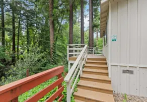 Madlin - Cabin Masoods Lodge - Image 4