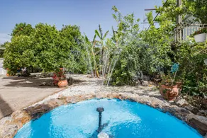 Olga's Organic garden Home for a couple! with Wifi & AC - Image 3