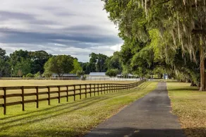 Charming farm ~5 bedroms + pool + stables near WEC - Image 3