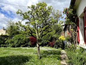 Typical village house - Image 2