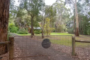 Otways Treehouse - Image 4