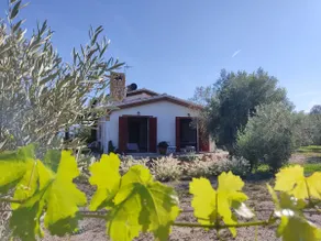Accessible Bioclimatic Rural House - Image 2