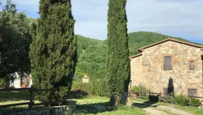 Tuscany, Sorano, Fiordaliso Apartment - Image 2