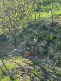 The Belvedere Corner - Image 5