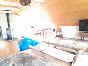 Airy apartment on alpaca farm - Image 4