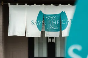 How about a private lodging where you can volunteer to take care of protected cats? - Image 3