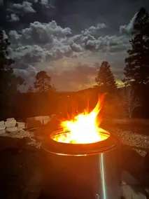 Little Pine - Image 2