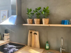 cozy apartment in the centre of Gouda - Image 3