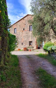 Apartment in an Ancient Oil Mill - Image 3