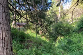 Volcan Mountain Stream Cabin (dogs welcome) - Image 3