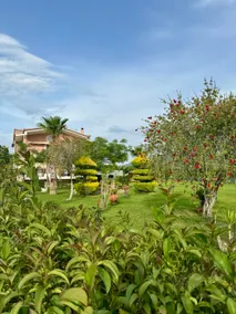 Nonta's Garden - nature & waves - Image 2