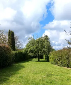Country house and garden - Image 4