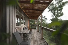 Honeysuckle Lorne - Image 5