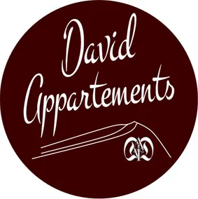 David Apartments 3, Mauterndorf, near Obertauern - Image 1