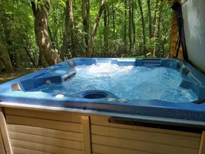 Relax in WNC Mtns Secluded Cabin - Image 4