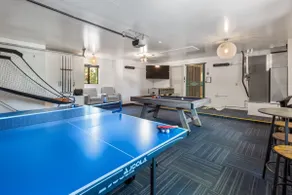 Game room • Theater Room • Playground • Grill - Image 4