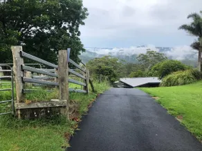 Maleny Wagyu and Beyond - Image 2