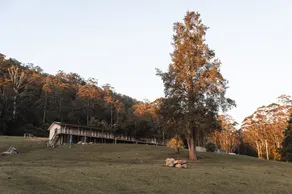 Budgong Lodge - Kangaroo Valley - Image 4
