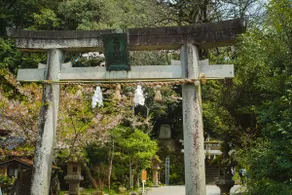 Tamatsukuri Onsen Street's private rental ”Kawa no Tori” - Image 5
