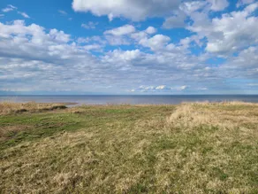 Oceanview Apartment-Direct Beach Access! - Image 5