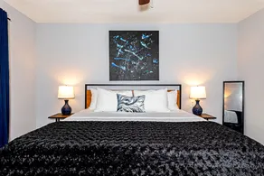 2BR The Raven Flats 08 | Hermann Park, Med Center! - Image 4