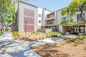 Beautiful 2 bed with pool gym Stanford&Sandhill Rd - Image 4