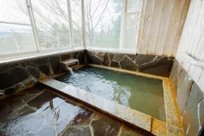 Nina Kurhaus - A rental villa with a hot spring in the Kurhaus Gardens, Gaiar Resort - Image 5