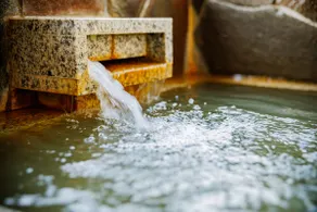 Nina Kurhaus - A rental villa with a hot spring in the Kurhaus Gardens, Gaiar Resort - Image 4