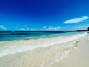 Casita Paraiso - Villa w/ Pool 5 min walk to beach - Image 4
