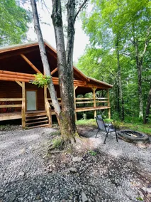 Holler Inn at Getaway Cabins - Image 4