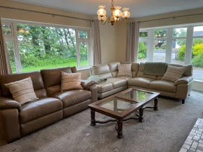 Elm Wood Cong - Image 2