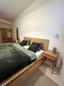Spacious New Apartment in Center (178 m²) - Image 5