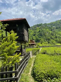 Pempo Suit Villa - Image 3