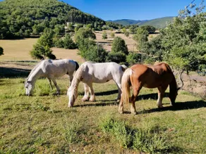 Gite at Marcel's farm. - Image 3