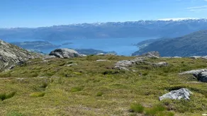 Byrkjesete Stølen - Image 2