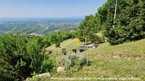 CityLights & WineCountryDelights - Image 5