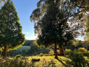 Stay 3 nights, pay for 2! Surrounded by Nature - Image 2
