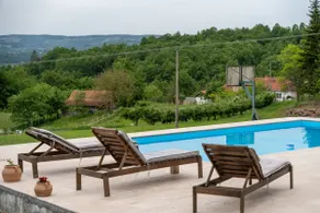 Brezov Grad Vila za izdavanje Uzicko selo - Image 5