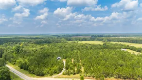 3BR Cabin on 12 Acres near Lake Blackshear & I-75 - Image 4