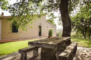 Apartment - near Saturnia - Image 5