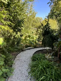 Japanese Oasis in Downtown Area - Image 2