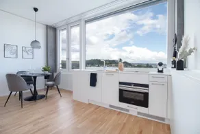 Lion Apartment Gray – near Rheinfall + Parking - Image 5