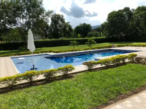 House with magical tropical immersion - Image 5