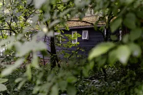 Nice forest cottage near Nijmegen | Cozy | Air conditioning - Image 4