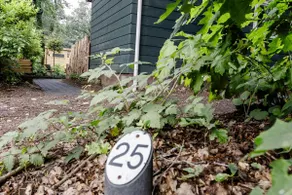 Nice forest cottage near Nijmegen | Cozy | Air conditioning - Image 5
